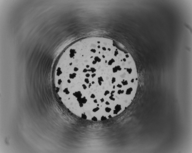 X0000103500196200810241132