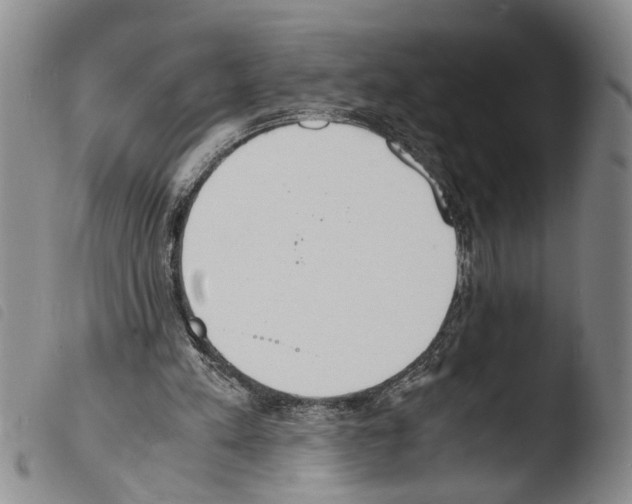 X0000103500197200810241132