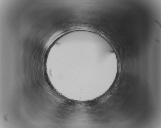 X0000103500199200810241132