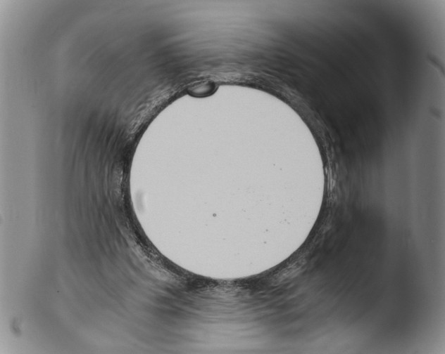 X0000103500201200810241132