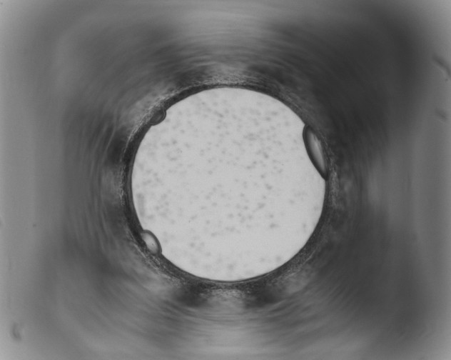 X0000103500203200810241132