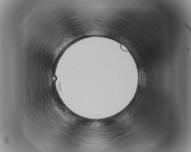 X0000103500204200810241132