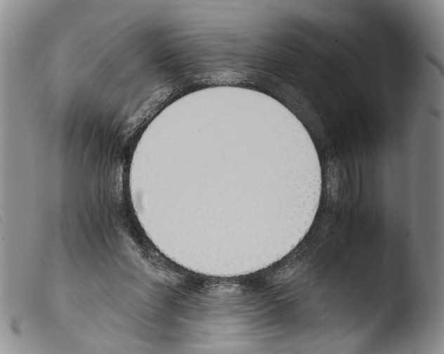 X0000103500206200810241132