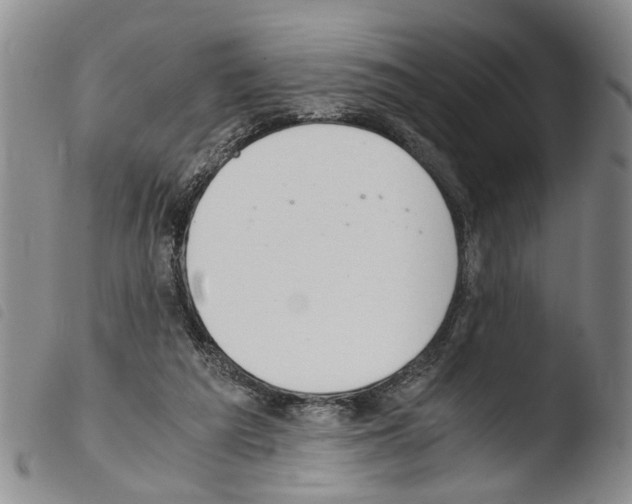 X0000103500209200810241132