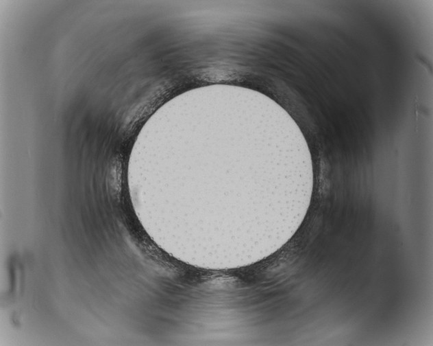 X0000103500210200810241132