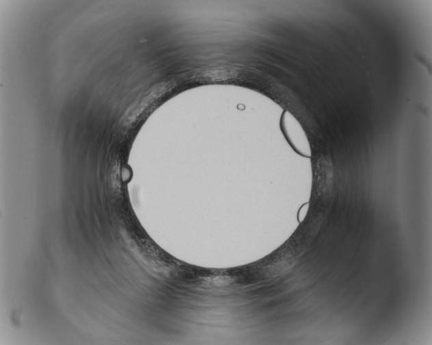 X0000103500212200810241132