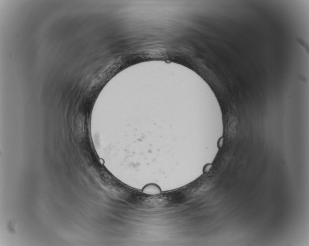 X0000103500213200810241132