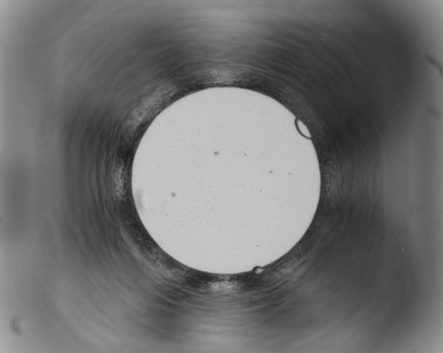 X0000103500216200810241132