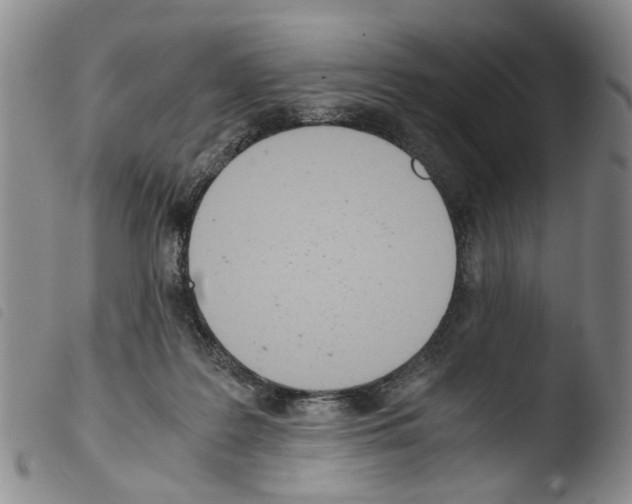 X0000103500219200810241132