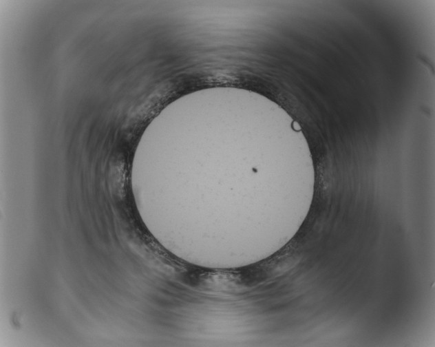 X0000103500223200810241132