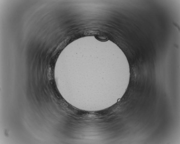 X0000103500224200810241132