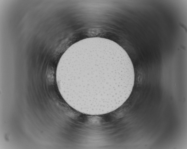 X0000103500226200810241132