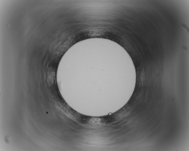 X0000103500227200810241132