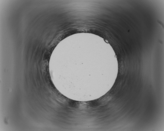 X0000103500229200810241132