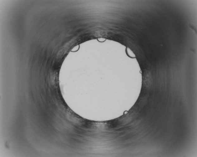 X0000103500233200810241132