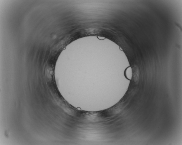 X0000103500235200810241132