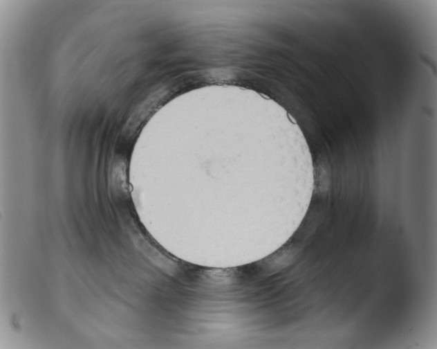 X0000103500238200810241132