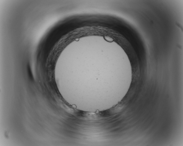 X0000103500239200810241132