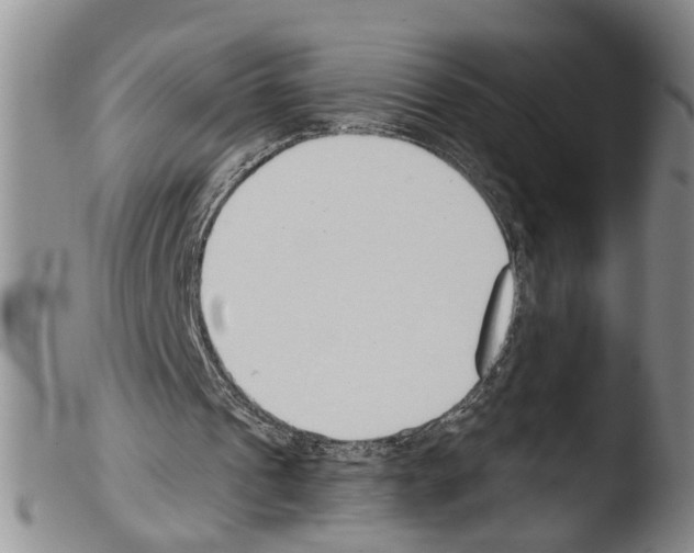 X0000103500241200810241131