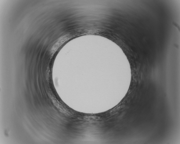 X0000103500242200810241131