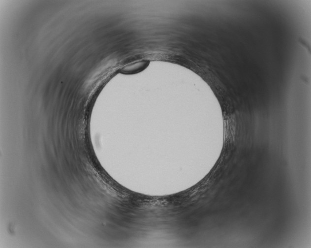 X0000103500243200810241131