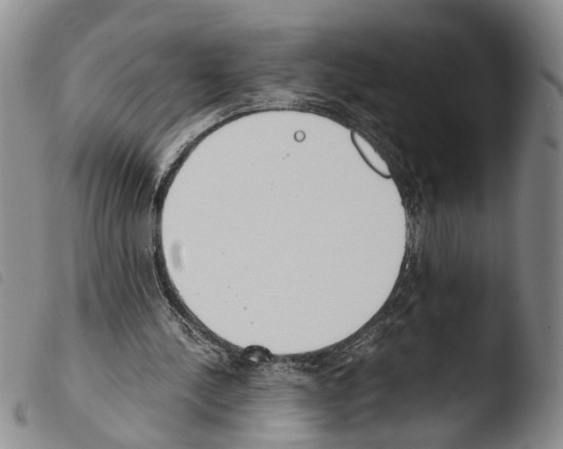 X0000103500244200810241131