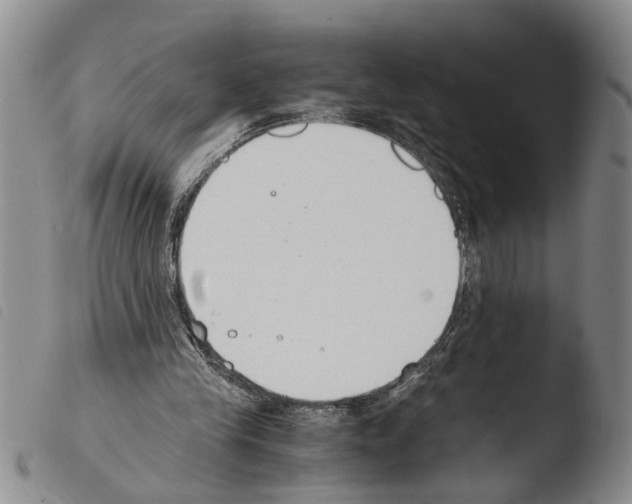 X0000103500245200810241131