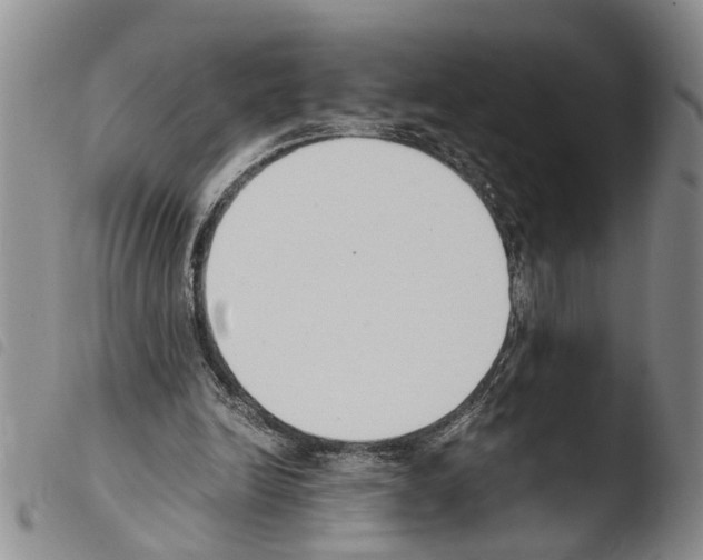 X0000103500246200810241131