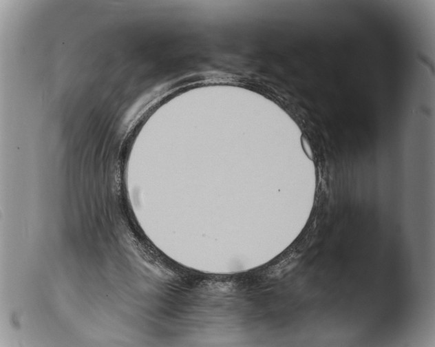 X0000103500247200810241131