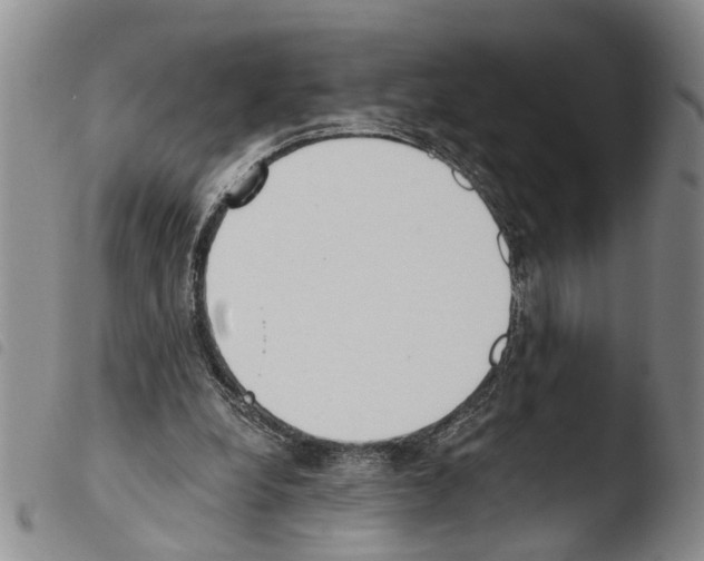 X0000103500248200810241131