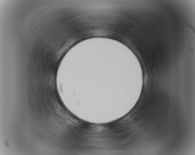 X0000103500249200810241131