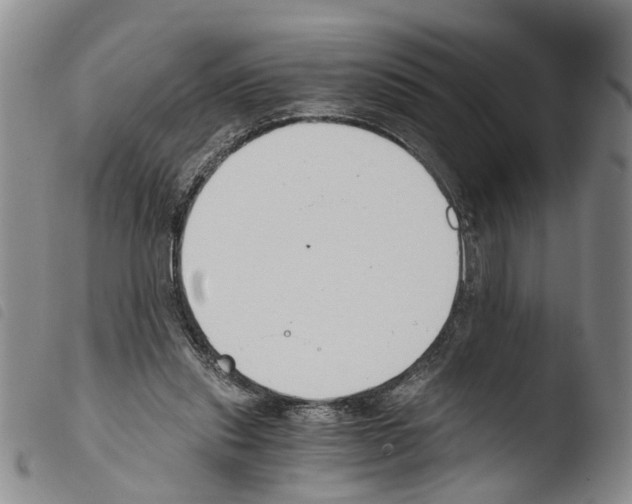 X0000103500253200810241131