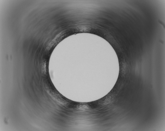 X0000103500262200810241131