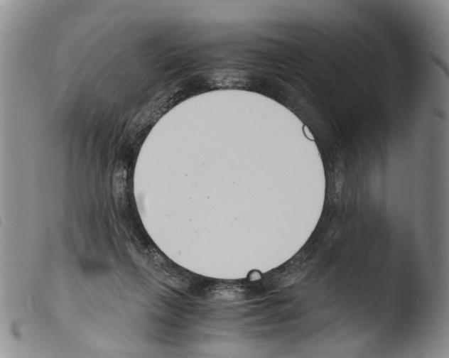 X0000103500263200810241131