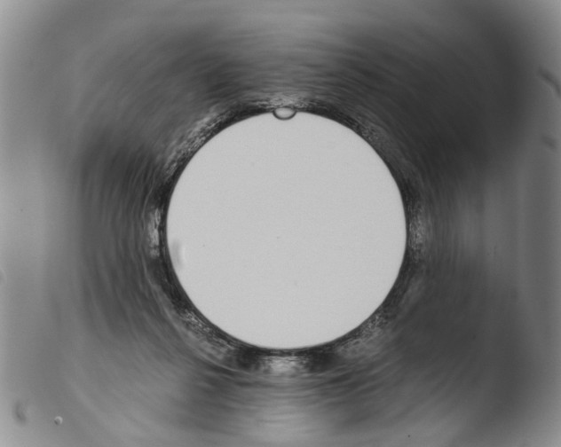 X0000103500264200810241131