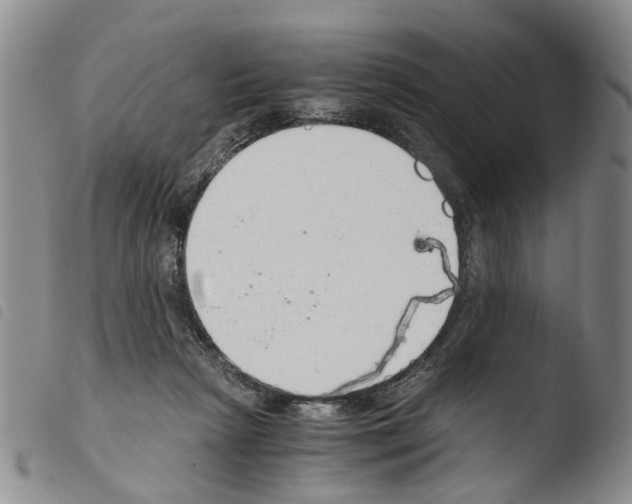 X0000103500265200810241131