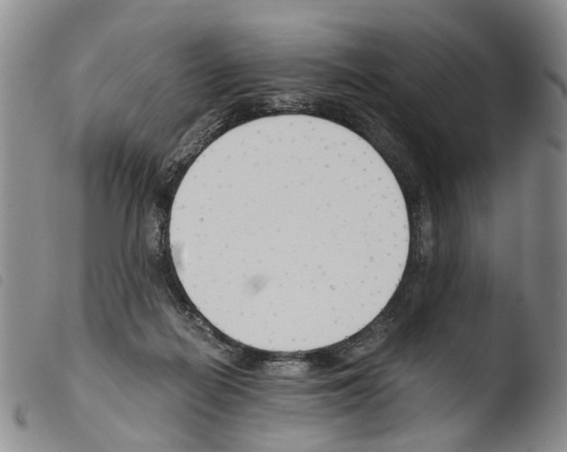 X0000103500266200810241131