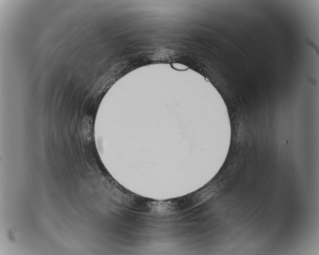 X0000103500273200810241131