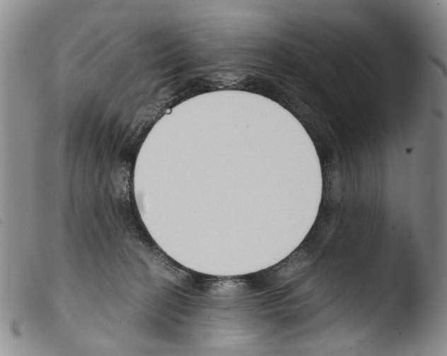 X0000103500274200810241131