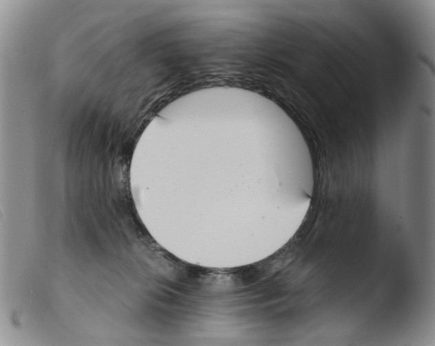 X0000103500276200810241131