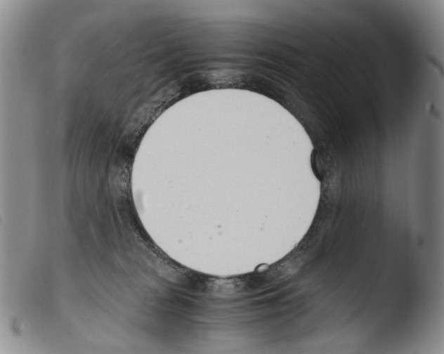 X0000103500277200810241131