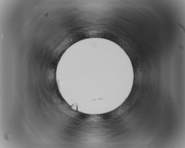 X0000103500278200810241132