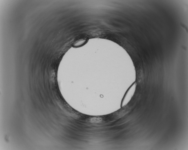 X0000103500279200810241132