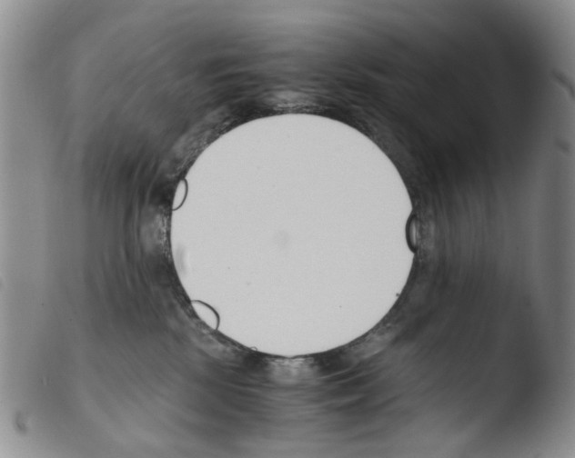 X0000103500281200810241132