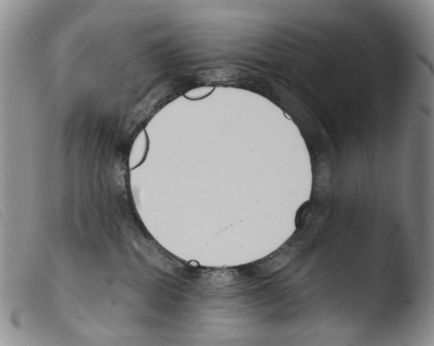 X0000103500282200810241132