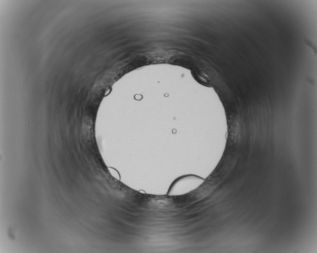 X0000103500283200810241132