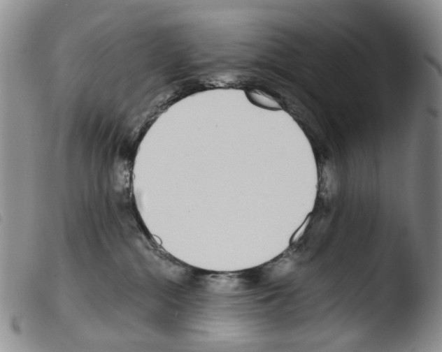 X0000103500284200810241132