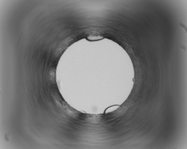 X0000103500288200810241132