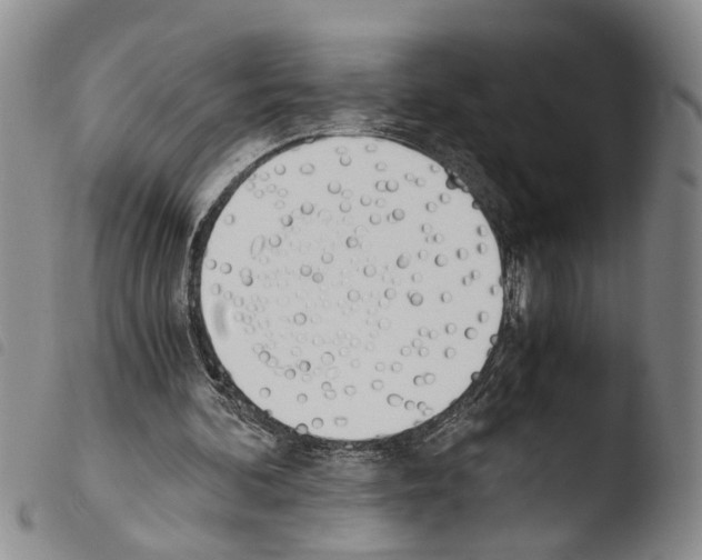 X0000103500292200810241131