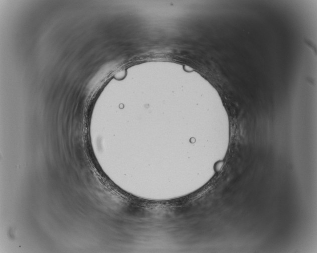 X0000103500293200810241131